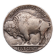 1926-P Buffalo Head Nickel Coins