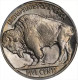 1928-D Buffalo Head Nickel Coins