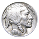 1931-S Buffalo Head Nickel Coins