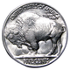 1936-P Buffalo Head Nickel Coins