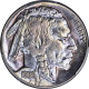 1936-S Buffalo Head Nickel Coins