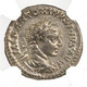 Roman Silver Denarius of Elagabalus (AD 218-222) NGC