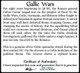 Gallic Wars: Caesar vs. the Celts (Black Box)