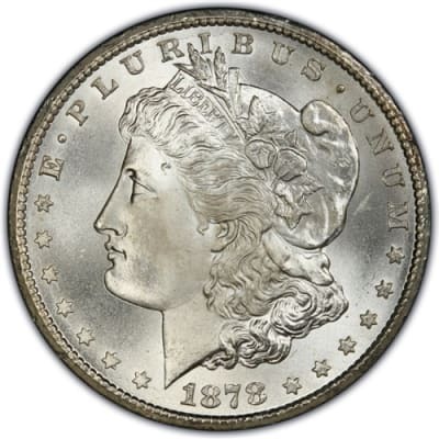 Morgan Silver Dollars