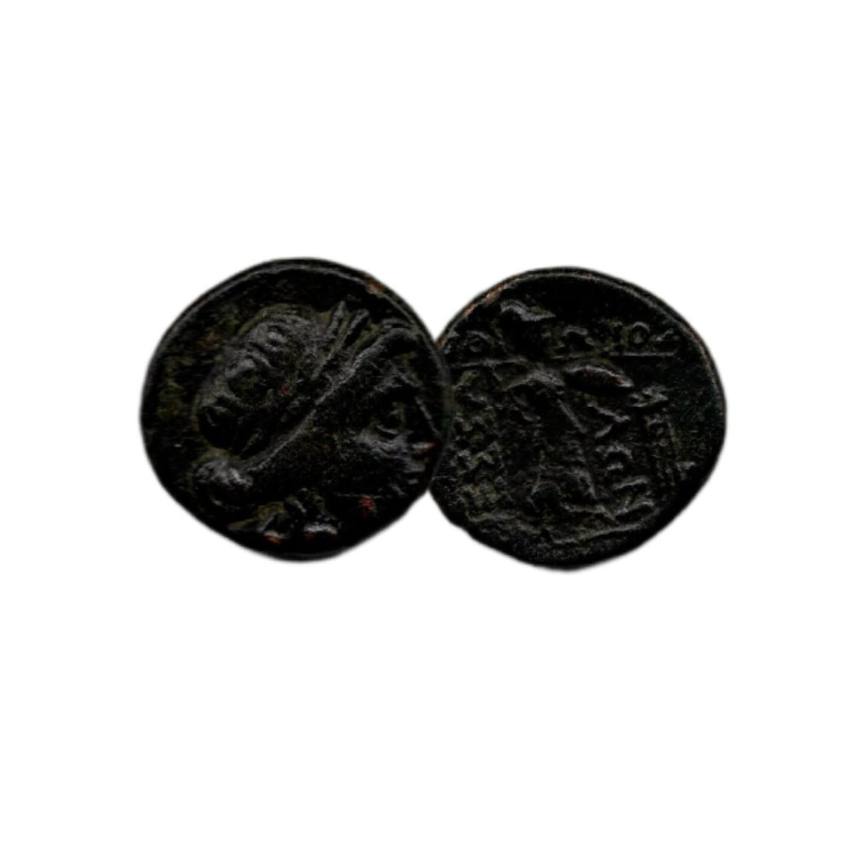 The Last Coins of Ancient Greece Box: The Thessalian League with Coin of Apollo/Athena (One-Coin Box)