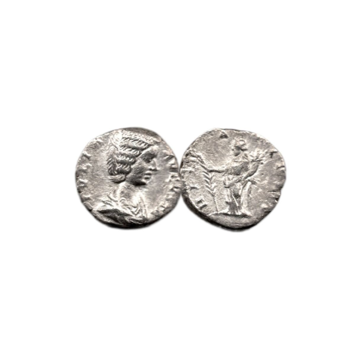 The Most Powerful Woman Who Ever Lived: Box of Silver Roman Denarius of Julia Domna (One-Coin Box)