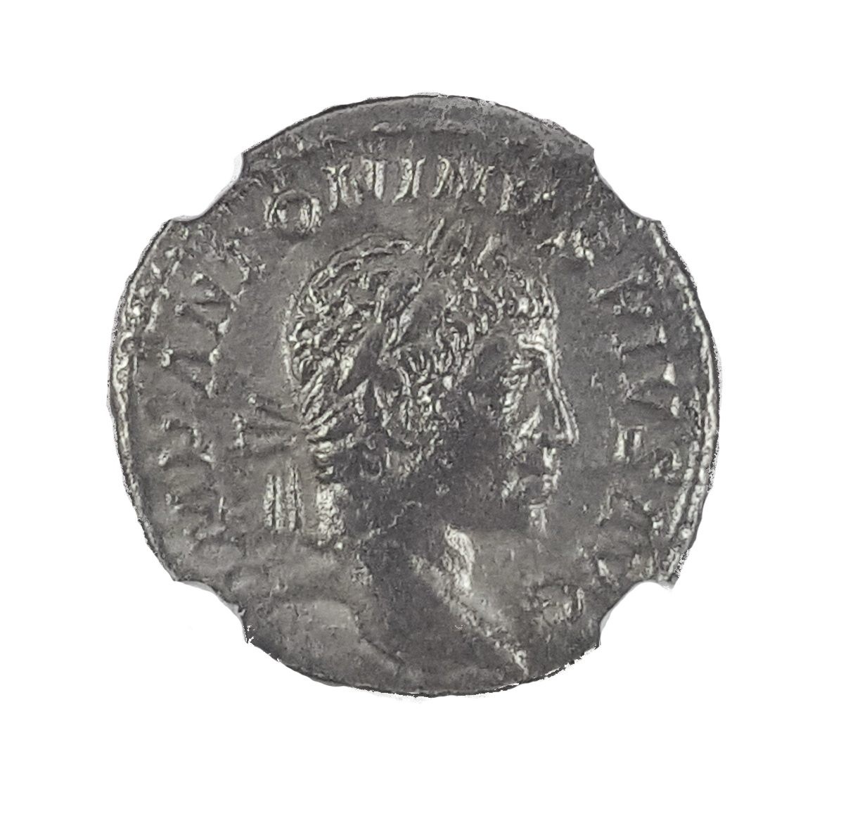 Roman Silver Denarius of Elagabalus (AD 218-222) NGC