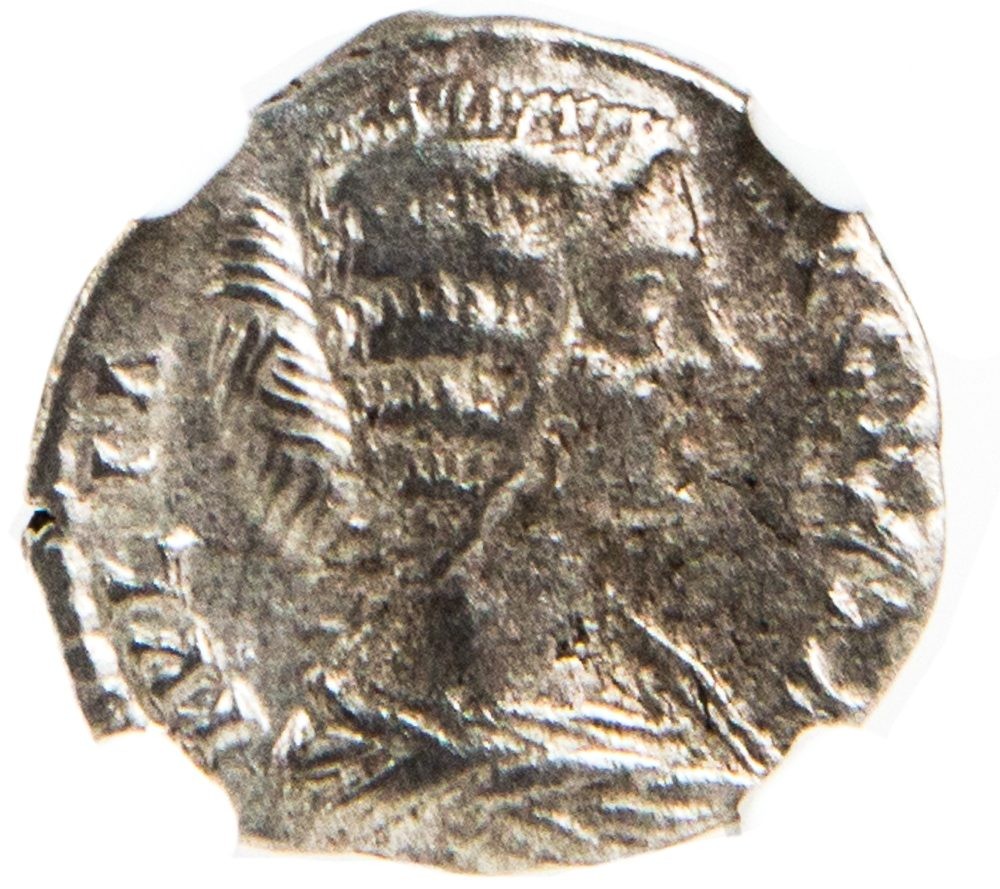 Roman Silver Denarius of Julia Domna (AD193-217) NGC