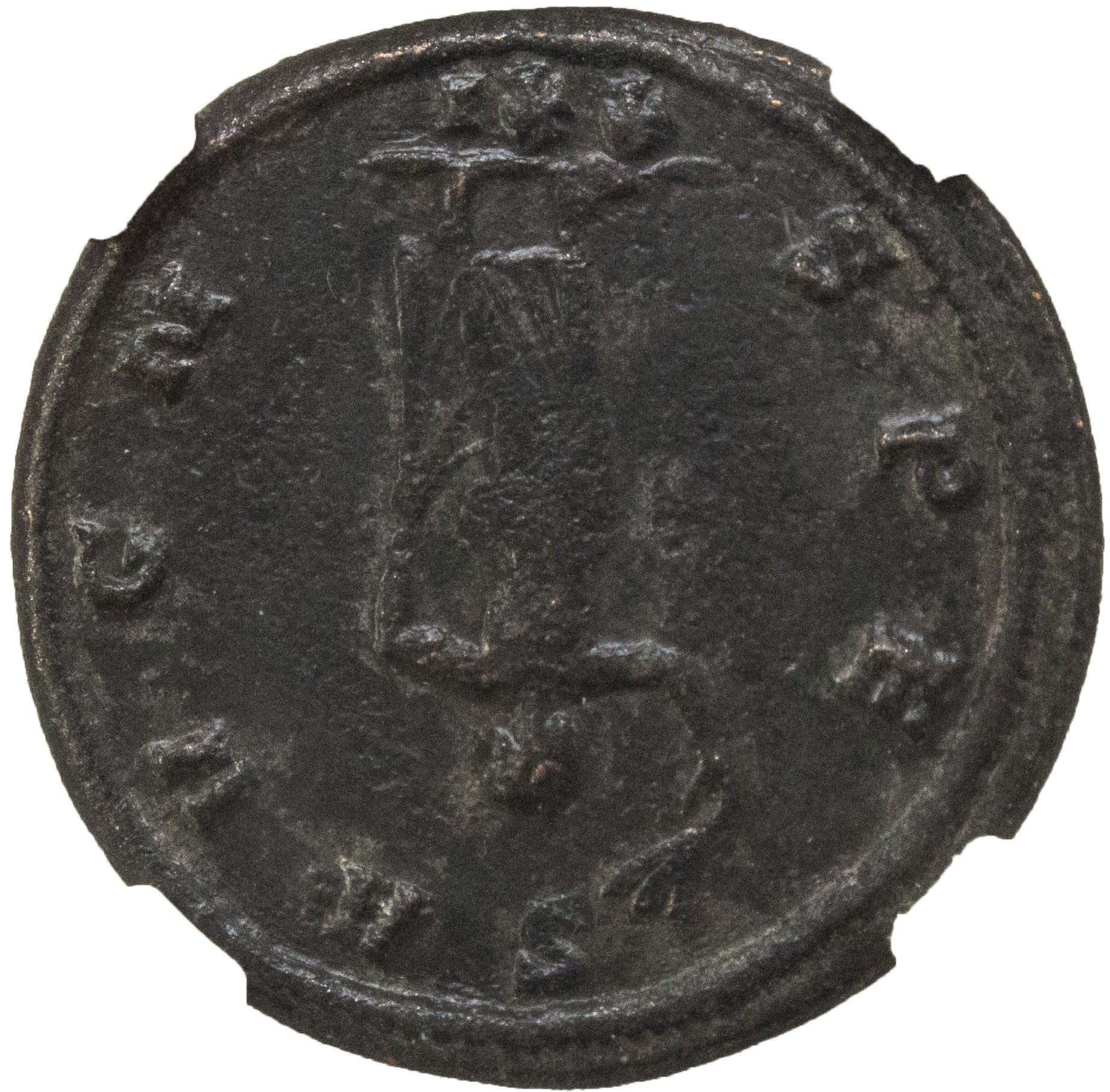 Roman AE Probus (AD 276-282) NGC
