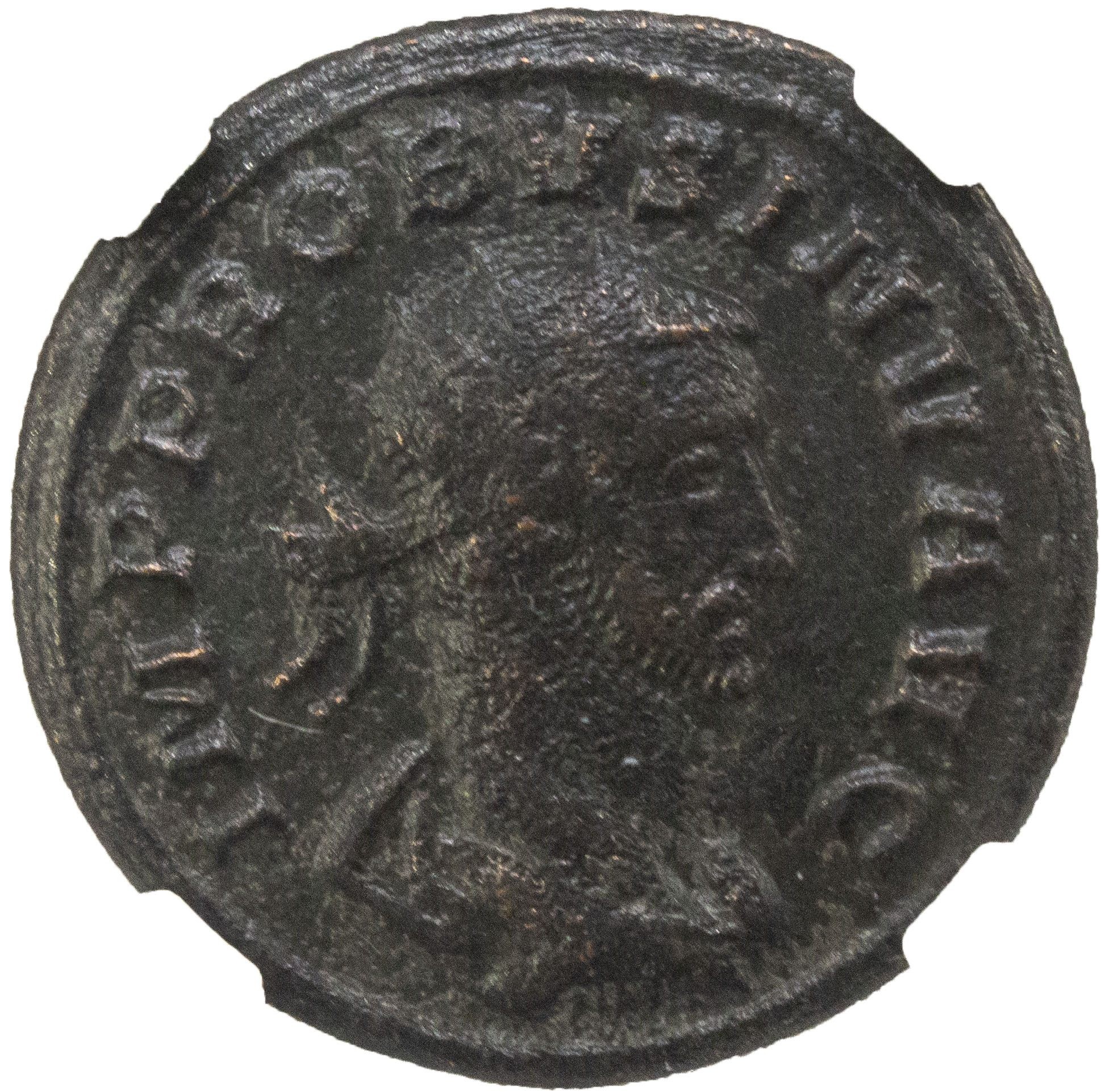 Roman AE Probus (AD 276-282) NGC
