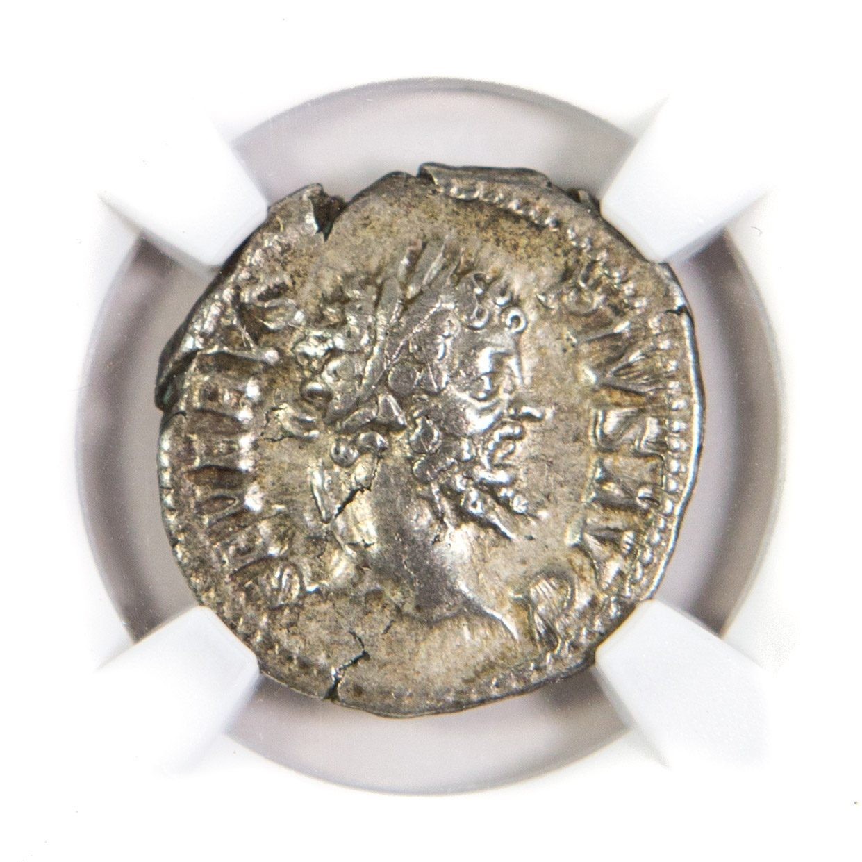 Roman Silver Denarius of Septimius Severus (AD 193-211) NGC