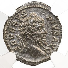 Roman Silver Denarius of Septimius Severus (AD 193-211) NGC