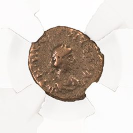 Roman AE of Theodosius II (AD402-450) NGC