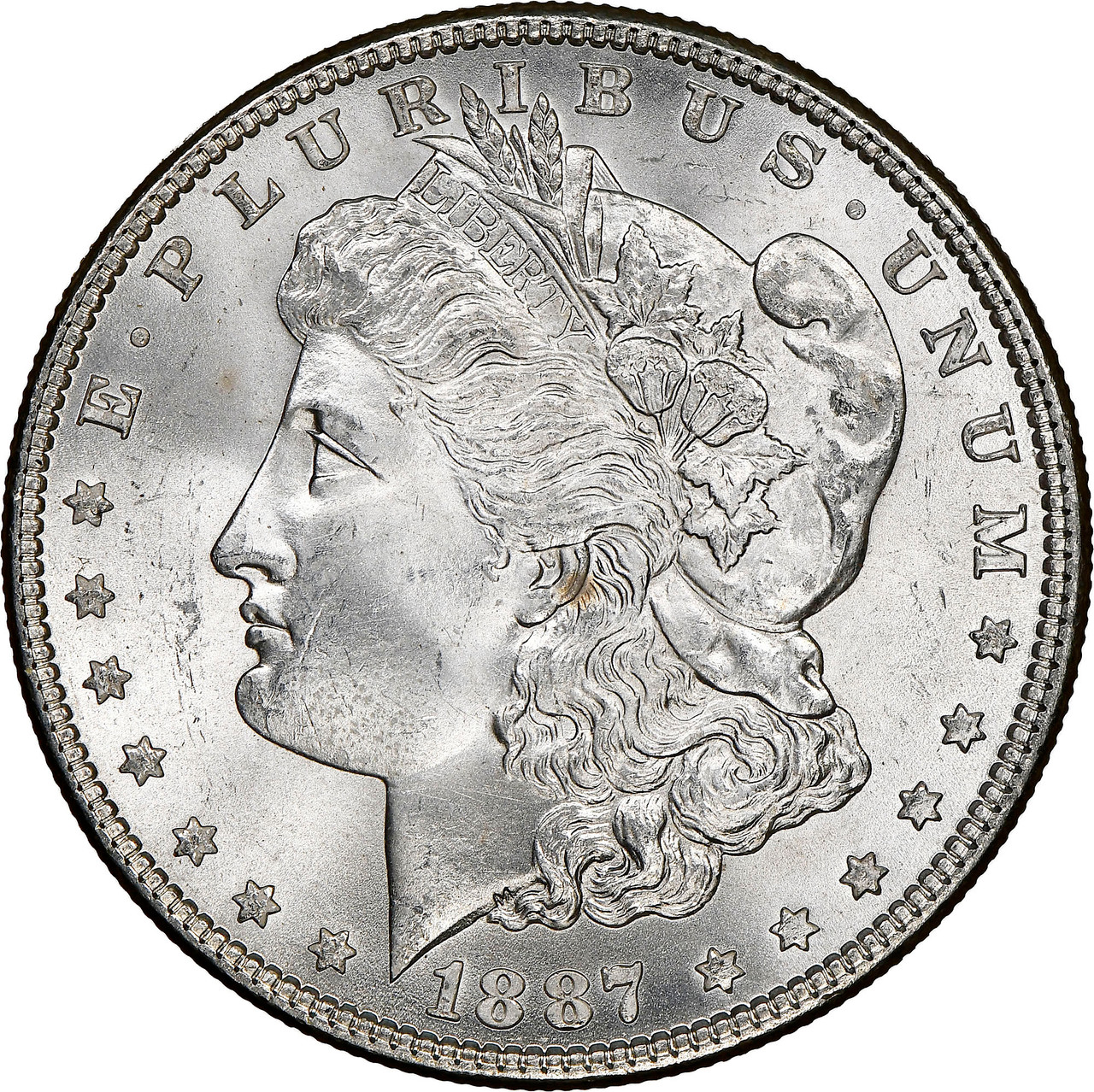 A Comprehensive Guide to Morgan Silver Dollar Value
