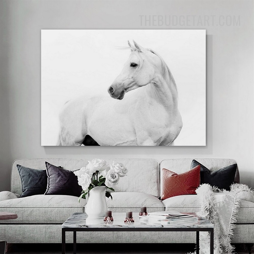 White Steed Modern Painting Animal Photo Canvas Print for Room Wall Décor Molding