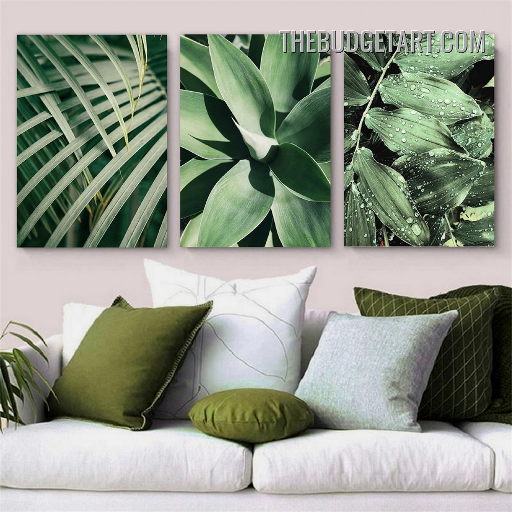 Palm Leafage Botanical Modern Painting Picture 3 Panel Canvas Wall Art Print for Room Ornament