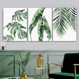 Buy Botanical Wall Art Video