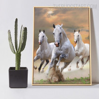 Trot Horse Animal Modern Painting Picture Canvas Print for Room Wall Illumination