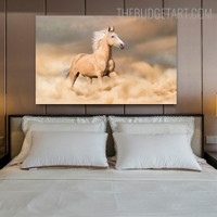 Stadium Horse Animal Modern Painting Picture Canvas Print for Room Wall Drape