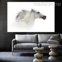 White Horses Animal Modern Painting Picture Canvas Print for Room Wall Molding