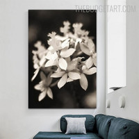 Black And White Blooms Nordic Floral Contemporary Painting Picture Canvas Print for Room Wall Ornamentation