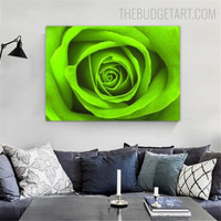 Jade Green Rose Floral Modern Painting Picture Canvas Print for Room Wall Garniture