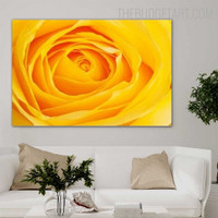 Yellowness Rosebush Floral Modern Painting Picture Canvas Print for Room Wall Ornamentation