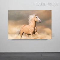 Ground Horse Animal Modern Painting Pic Canvas Print for Room Wall Moulding