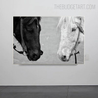 Horses Face Animal Modern Painting Picture Canvas Print for Room Wall Disposition