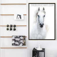 White Horse Modern Painting Picture Animal Canvas Print for Room Wall Tracery