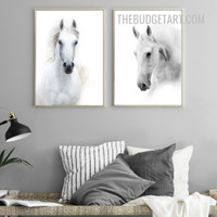 Studhorse Animal Modern Painting Picture 2 Piece Canvas Wall Art Print for Room Finery