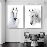 Studhorse Animal Modern Painting Picture 2 Piece Canvas Wall Art Print for Room Disposition