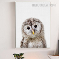 Owl Nordic Painting Picture Bird Print On Canvas for Room Wall Assortment