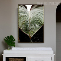 Dew Botanical Modern Artwork Image Canvas Print for Room Wall Decor