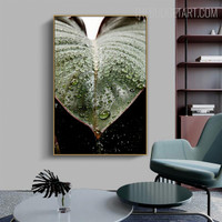 Dew Botanical Modern Artwork Image Canvas Print for Room Wall Outfit
