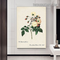 Blossoms Vintage Painting Picture Floral Canvas Wall Art Print for Room Drape