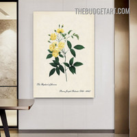 Yellow Blossoms Floral Vintage Painting Picture Canvas Art Print for Room Wall Garniture