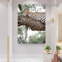 Sleeping Tiger Wild Animal Modern Painting Picture Canvas Art Print for Room Wall Getup