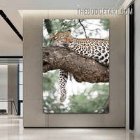 Sleeping Tiger Wild Animal Modern Painting Picture Canvas Art Print for Room Wall Garniture