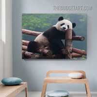 Panda Bear Wild Animal Modern Painting Picture Canvas Wall Art Print for Room Adornment
