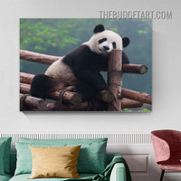 Panda Bear Wild Animal Modern Painting Picture Canvas Wall Art Print for Room Molding