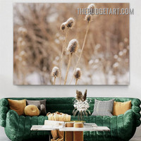Forst Covered Teasels Nordic Floral Scandinavian Painting Picture Canvas Wall Art Print for Room Getup
