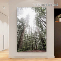 Forest Nordic Naturescape Painting Picture Canvas Wall Art Print for Room Garniture