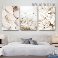 Seashells Abstract Landscape Scandinavian Painting Picture 3 Piece Canvas Print for Room Wall Molding