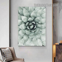 Cactus Plant Botanical Contemporary Painting Picture Canvas Wall Art Print for Room Equipment