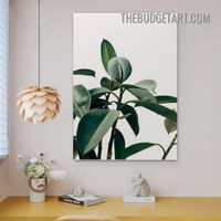 Rubber Plant Nordic Botanical Painting Picture Canvas Art Print for Room Wall Outfit