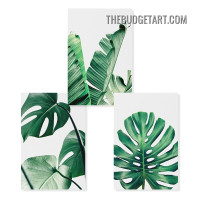 Banana Leaves Botanical Modern Painting Picture 3 Piece Canvas Art Prints for Room Wall Garniture