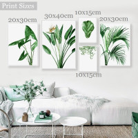 Green Alocasia Leafage Botanical Minimalist 5 Piece Painting Sets Photograph Modern Canvas Print for Wall Hanging Molding