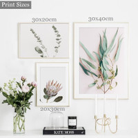 King Protea Floret Flower Minimalist 3 Piece Floral Painting Sets Photograph Modern Canvas Print for Wall Hanging Molding