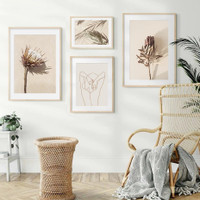 Dried Protea Floret Scandinavian Floral 4 Multi Panel Wall Hanging Set Artwork Image Abstract Canvas Print for Room Assortment